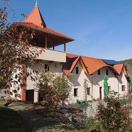 Mokus Panzio Bed & Breakfast Bicfălău Екстериор снимка