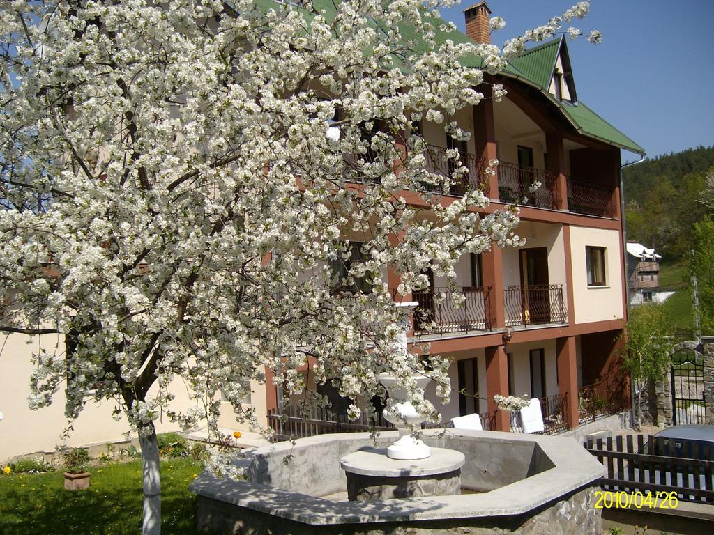Mokus Panzio Bed & Breakfast Bicfălău Екстериор снимка