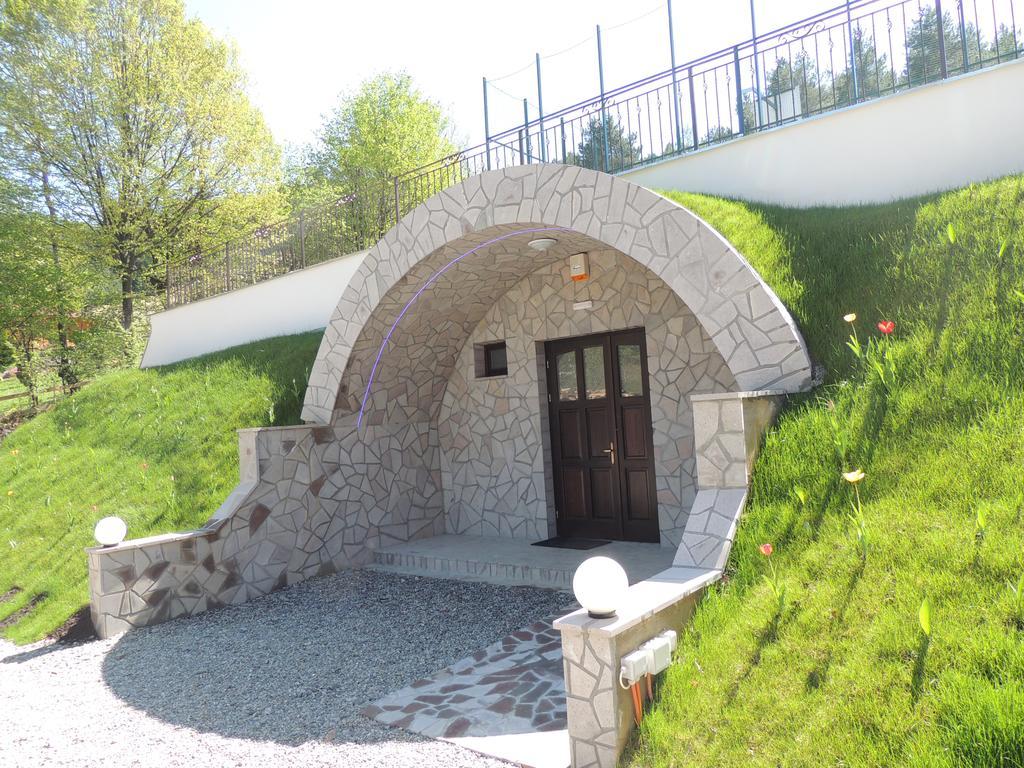 Mokus Panzio Bed & Breakfast Bicfălău Екстериор снимка